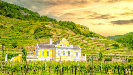 Domäne Wachau: Ein führendes Weingut in Österreich