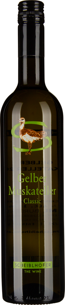 Wein aus Österreich Gelber Muskateller 2023 Glasflasche
