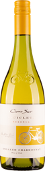 Wein aus Chile Chardonnay Bicicleta bio 2022 Glasflasche