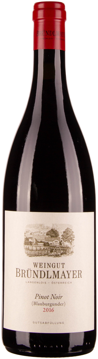 Pinot Noir bio 2022 von BRÜNDLMAYER aus Österreich