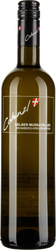 Wein aus Österreich Gelber Muskateller Bisamberg Kreuzenstein bio 2023 Glasflasche