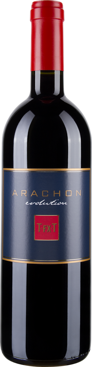 Arachon 2020 von ARACHON T.FX.T aus Österreich