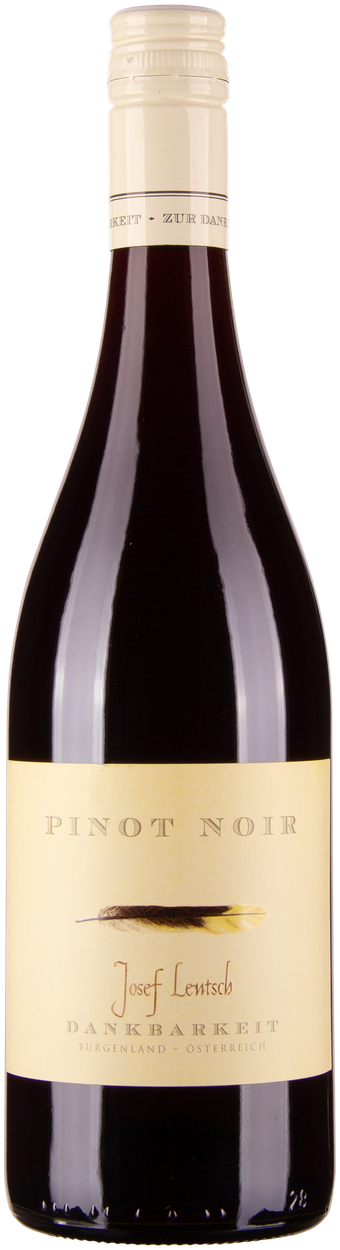Josef Lentsch Pinot Noir 2022 von DANKBARKEIT aus Österreich