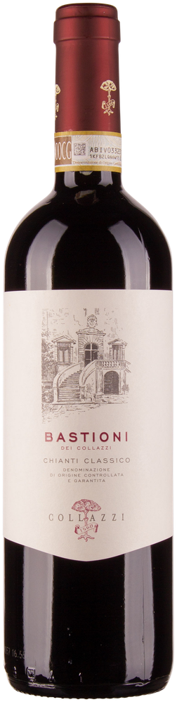 Wein aus Italien I Bastioni Chianti Classico DOCG 2021 Glasflasche