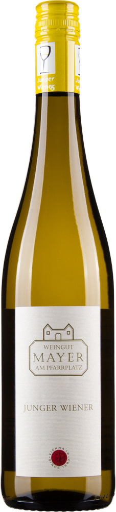 Wein aus Österreich Junger Wiener 2023 Verkaufseinheit