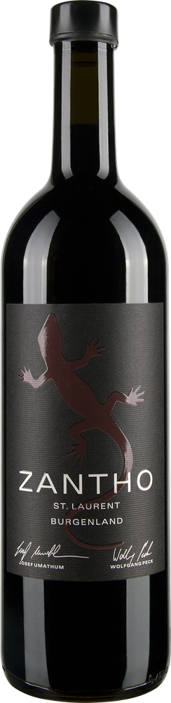 Wein aus Österreich St. Laurent 2021 Glasflasche