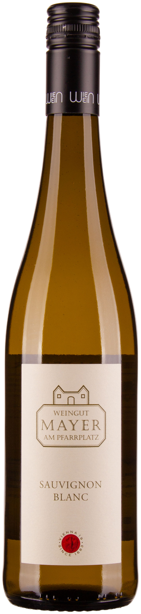 Sauvignon Blanc 2024 von MAYER AM PFARRPLATZ aus Österreich
