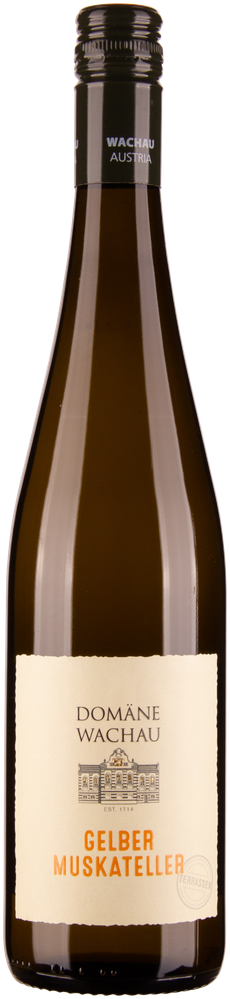 Wein aus Österreich Gelber Muskateller Terrassen Wachau DAC 2023 Verkaufseinheit
