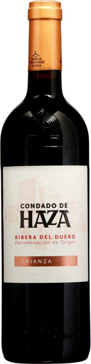 Ribera del Duero DO Crianza 2019