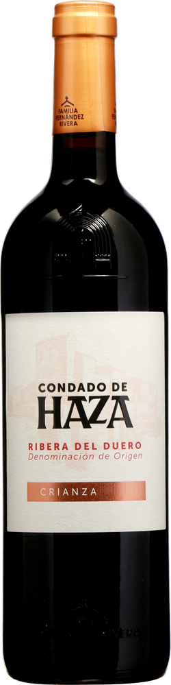 Wein aus Spanien Ribera del Duero DO Crianza 2020 Glasflasche