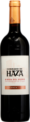 Wein aus Spanien Ribera del Duero DO Crianza 2020 Glasflasche