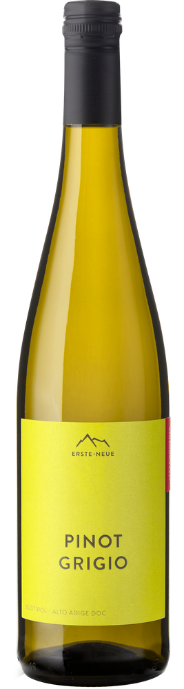 Wein aus Italien Pinot Grigio 2023 ERSTE+NEUE