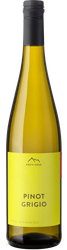Wein aus Italien Pinot Grigio 2023 ERSTE+NEUE