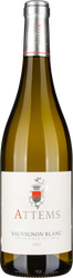 Wein aus Italien Sauvignon Blanc IGT 2022 Glasflasche