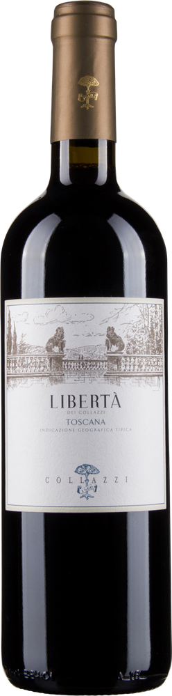 Wein aus Italien Libertá IGT 2021 Glasflasche