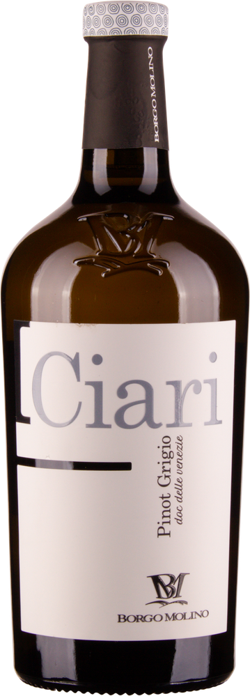 Wein aus Italien Pinot Grigio DOC 2023 Glasflasche