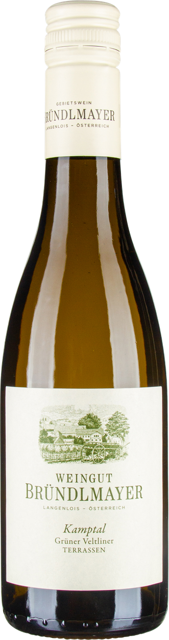 Grüner Veltliner Terrassen Kamptal DAC bio 2023 von BRÜNDLMAYER aus Österreich