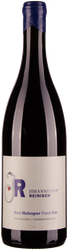 Wein aus Österreich Pinot Noir Ried Holzspur 2021 Verkaufseinheit
