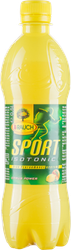 WÖsterreich Sport Isotonic Citrus Power RAUCH