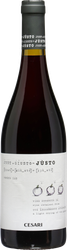 Wein aus Italien Justo 2021 CESARI