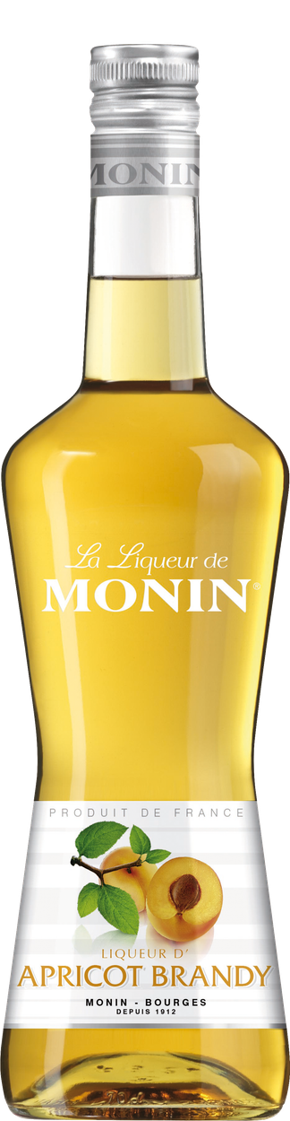 Apricot Brandy Liqueur von MONIN aus Frankreich