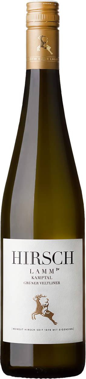 Grüner Veltliner Ried Lamm 1ÖTW Kamptal DAC bio 2022 von HIRSCH aus Österreich