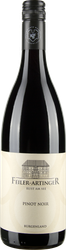 Wein aus Österreich Pinot Noir bio 2022 Glasflasche