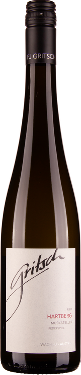 Gelber Muskateller Federspiel Spitz 2021