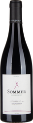 Wein aus Österreich Blaufränkisch Leithaberg DAC 2020 Glasflasche