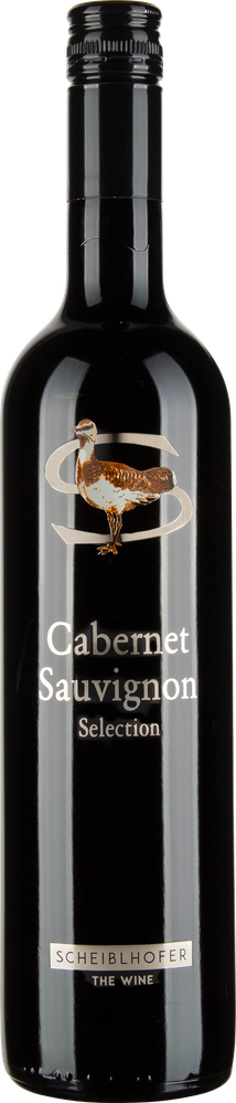 Wein aus Österreich Cabernet Sauvignon 2023 Glasflasche