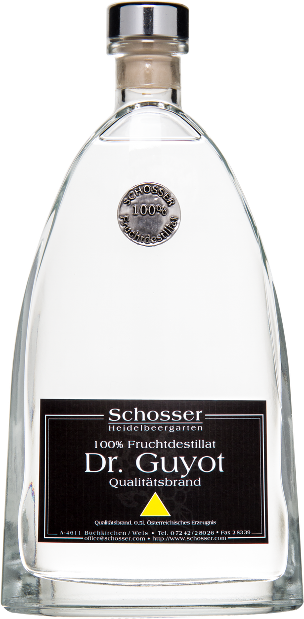 Birne Dr. Guyot von SCHOSSER aus Österreich