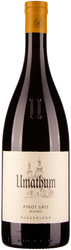 Wein aus Österreich Pinot Gris Reserve 2022 Glasflasche