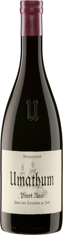 Pinot Noir Unter den Terrassen 2019
