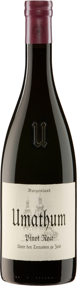 Wein aus Österreich Pinot Noir Unter den Terrassen 2021 Glasflasche