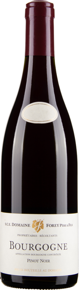 Wein aus Frankreich Pinot Noir Bourgogne Rouge 2021 Glasflasche