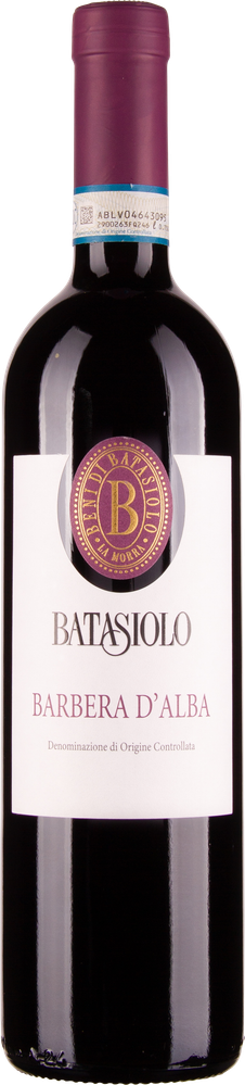 Wein aus Italien Barbera d'Alba 2022 Glasflasche