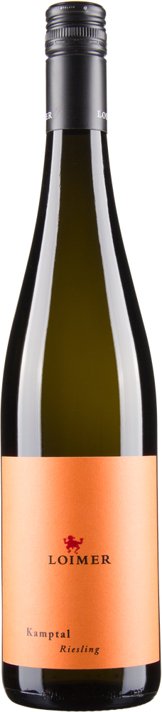 Wein aus Österreich Riesling Kamptal DAC bio 2023 Verkaufseinheit