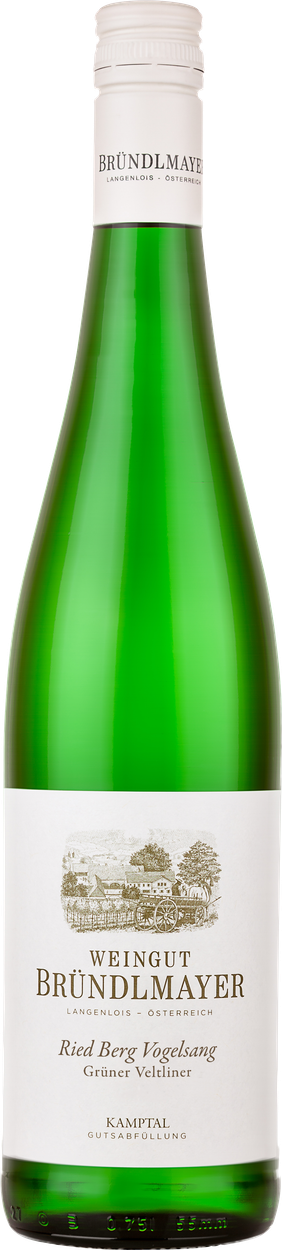 Grüner Veltliner Ried Berg Vogelsang Kamptal DAC bio 2023 von BRÜNDLMAYER aus Österreich