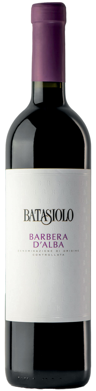 Barbera dAlba 2024 von BATASIOLO aus Italien