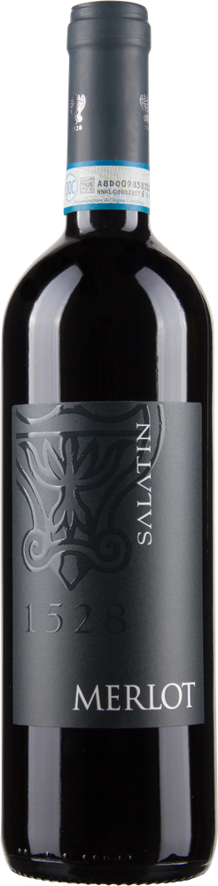 Wein aus Italien Merlot Venezia DOC 2022 Glasflasche