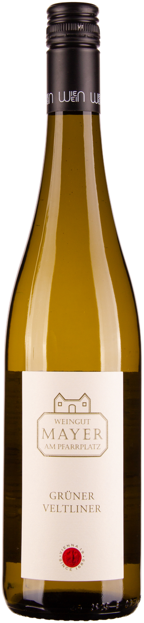 Grüner Veltliner 2025 von MAYER AM PFARRPLATZ aus Österreich