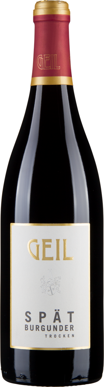 Spätburgunder trocken Gutswein 2022 von GEIL aus Deutschland