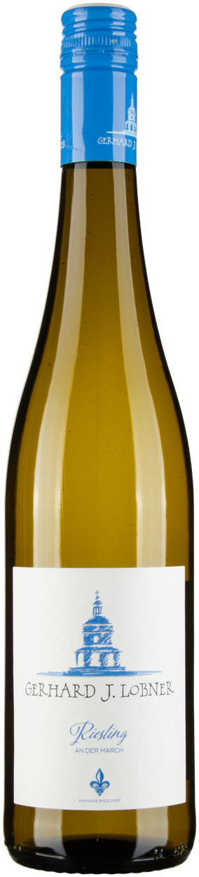 Riesling Mannersdorf an der March bio 2024 von LOBNER aus Österreich