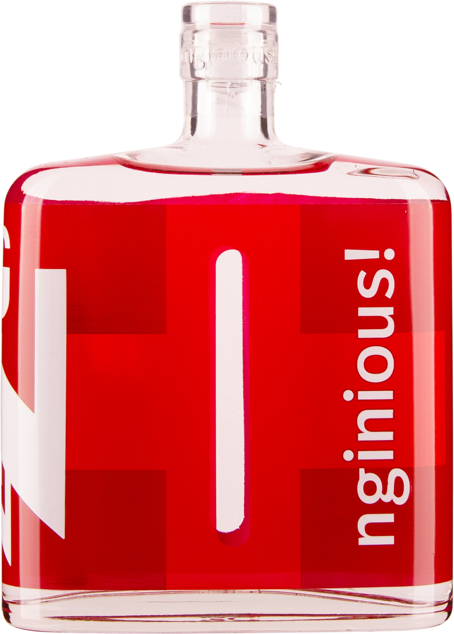 Swiss Blended Gin von NGINIOUS! aus Schweiz