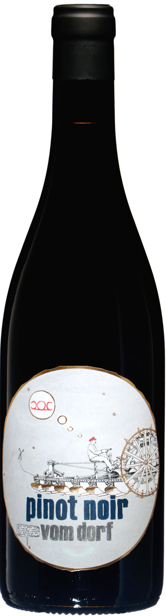 Pinot Noir bio 2024 von PITTNAUER aus Österreich