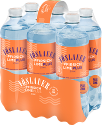 WÖsterreich Flavours Plus Pfirsich Lime Plus Zink VÖSLAUER