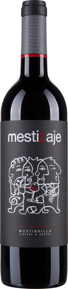 Wein aus Spanien Mestizaje Tinto Vino de Pago DOP El Terrerazo bio 2021 Verkaufseinheit