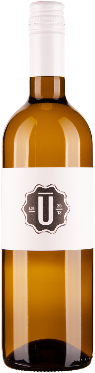 Ulrich Grüner Veltliner Ried in Bergen bio 2024 von HESS aus Österreich