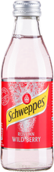 WDeutschland Russian Wild Berry SCHWEPPES