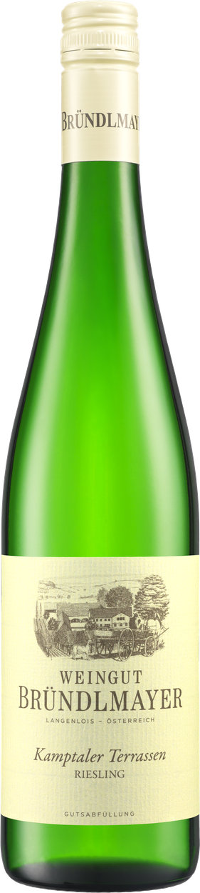 Riesling Terrassen Kamptal DAC bio 2024 von BRÜNDLMAYER aus Österreich
